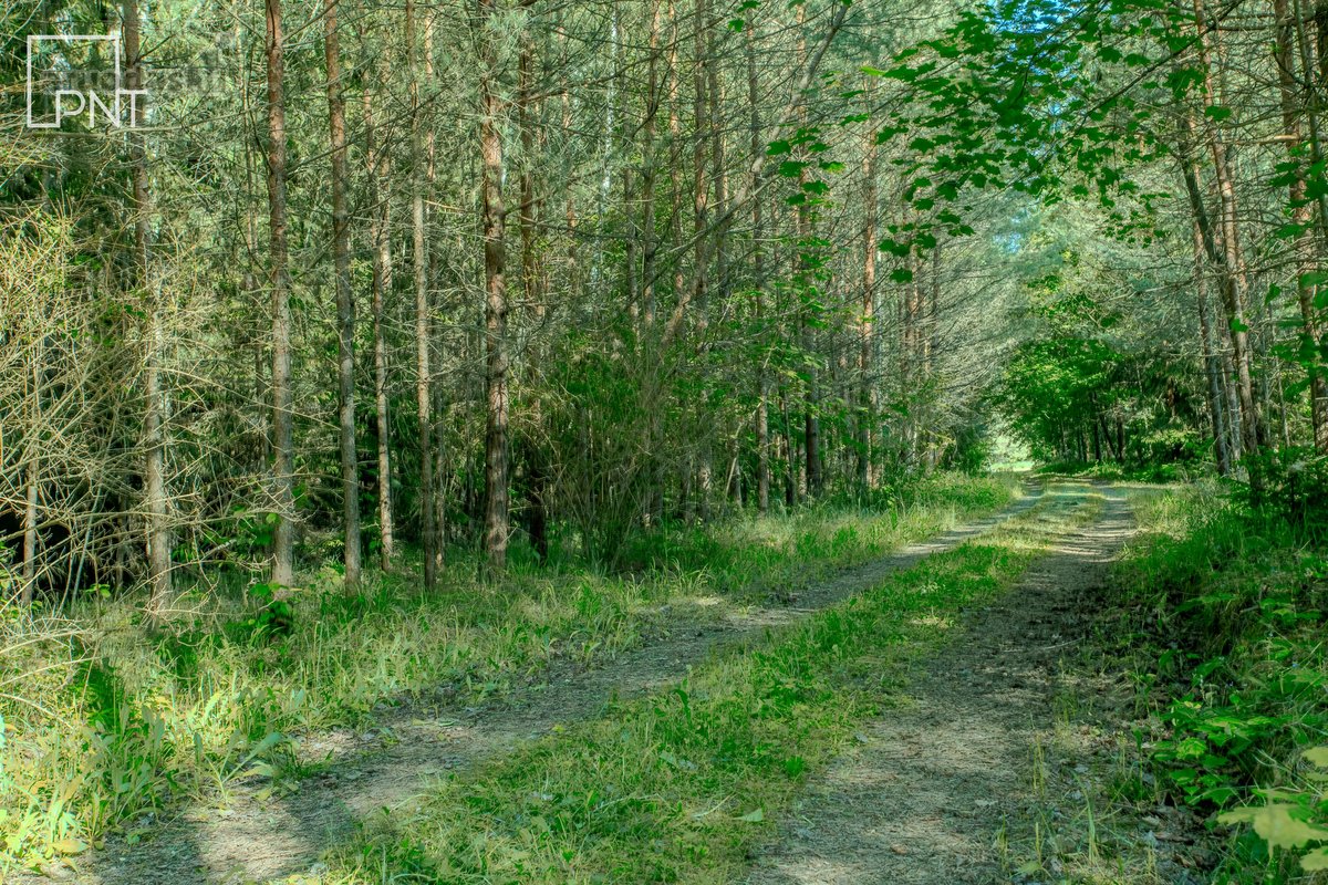 Parduodama Išskirtinė Poilsiavietė Su - nuotraukos Nr. 15