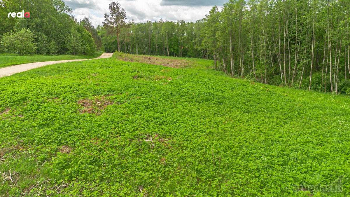 Parduodamas Nuostabus 1,1000ha Žemės Ūkio - nuotraukos Nr. 8