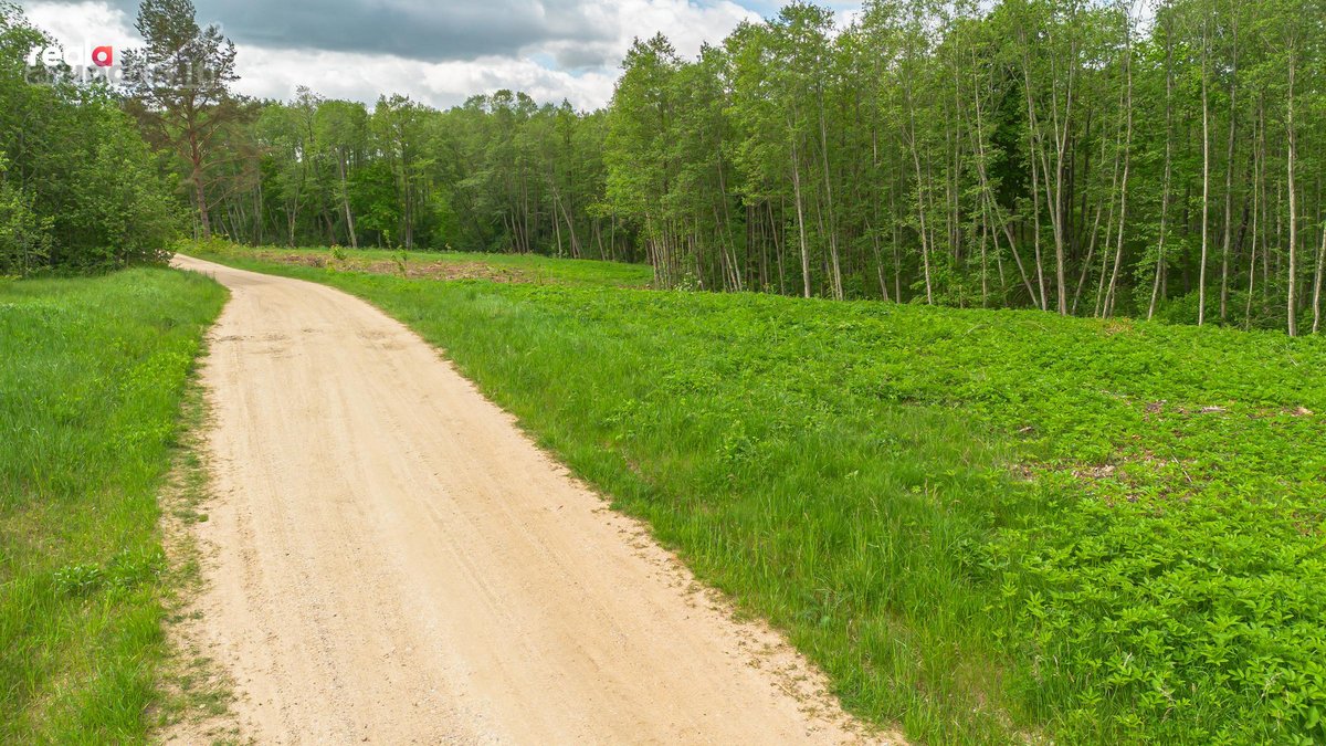 Parduodamas Nuostabus 1,1000ha Žemės Ūkio - nuotraukos Nr. 7