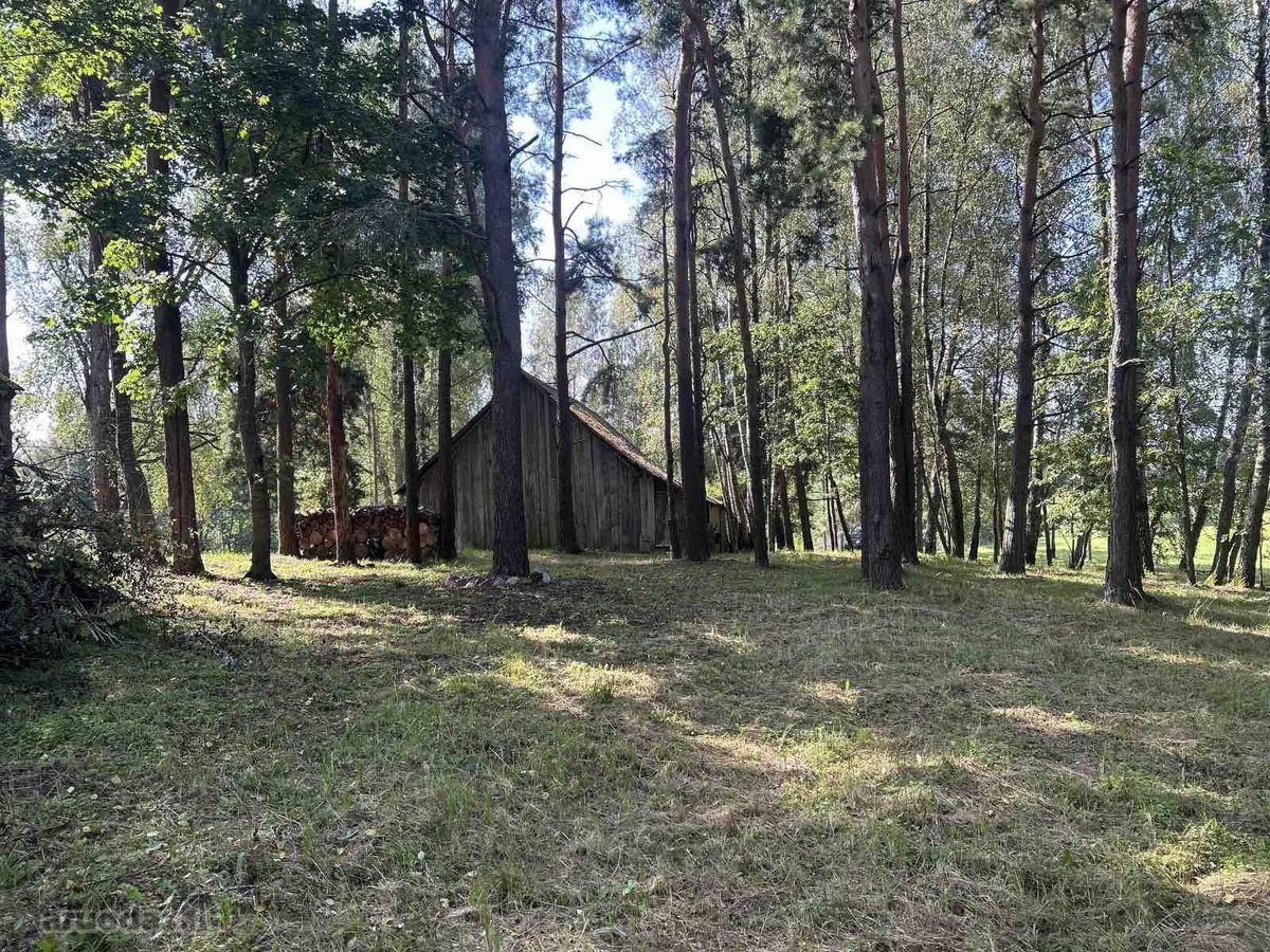 Parduodamas išskirtinis sklypas, buvusi sena - nuotraukos Nr. 7