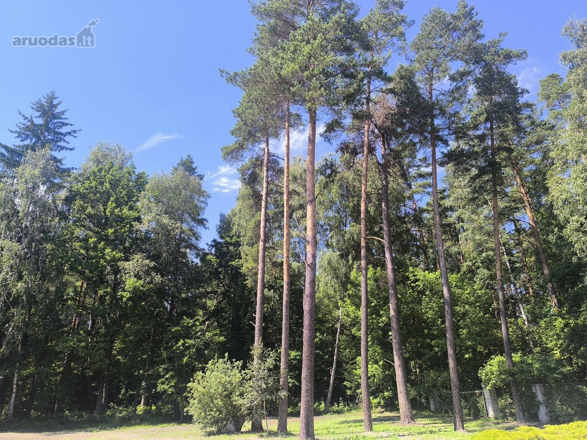 Krekenavos regioniniame parke, šalia miško, - nuotraukos Nr. 3