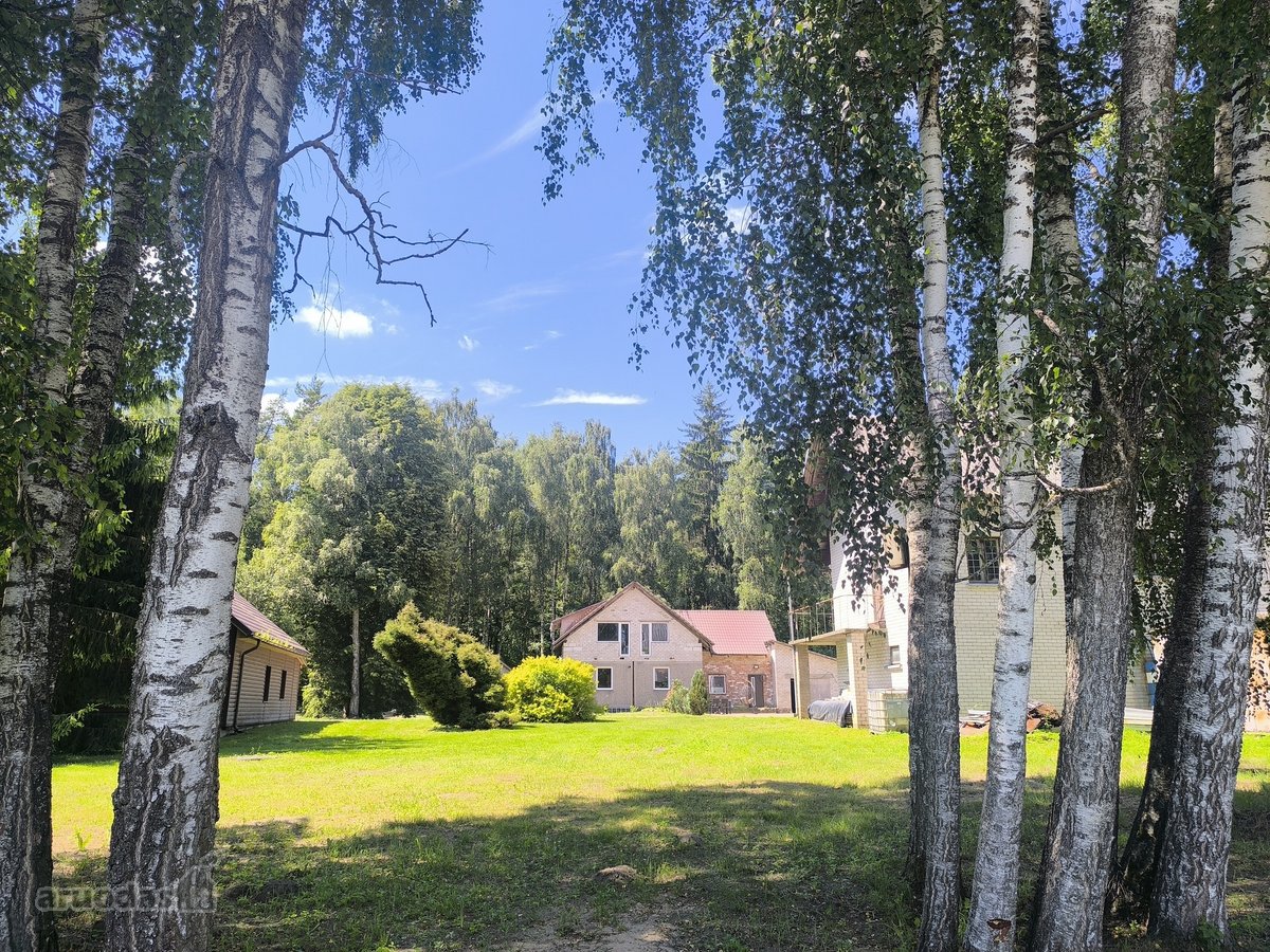 Krekenavos regioniniame parke, šalia miško, - nuotraukos Nr. 47