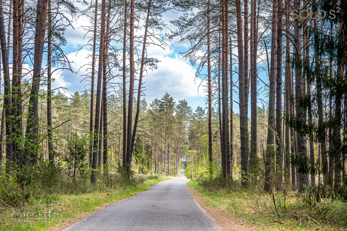 Stulbinančio privatumo ir ramybės apsuptyje - nuotraukos Nr. 6