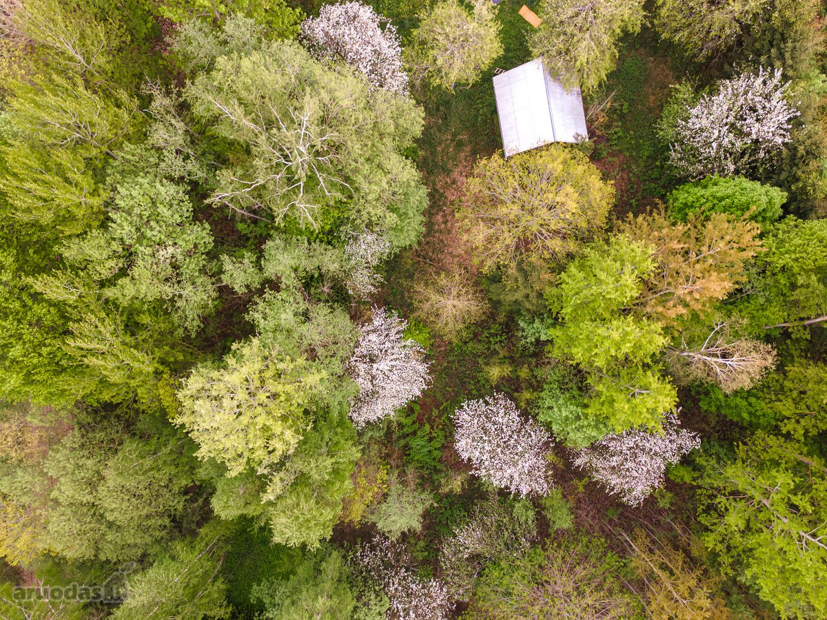 Parduodamas 87,59 arų namų valdos sklypas su - nuotraukos Nr. 3