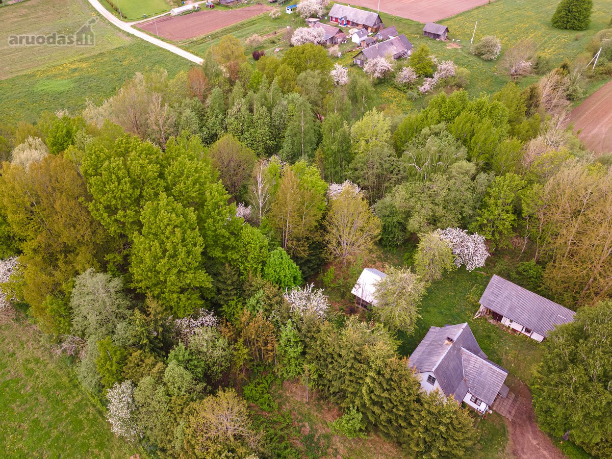 Parduodamas 87,59 arų namų valdos sklypas su - nuotraukos Nr. 2