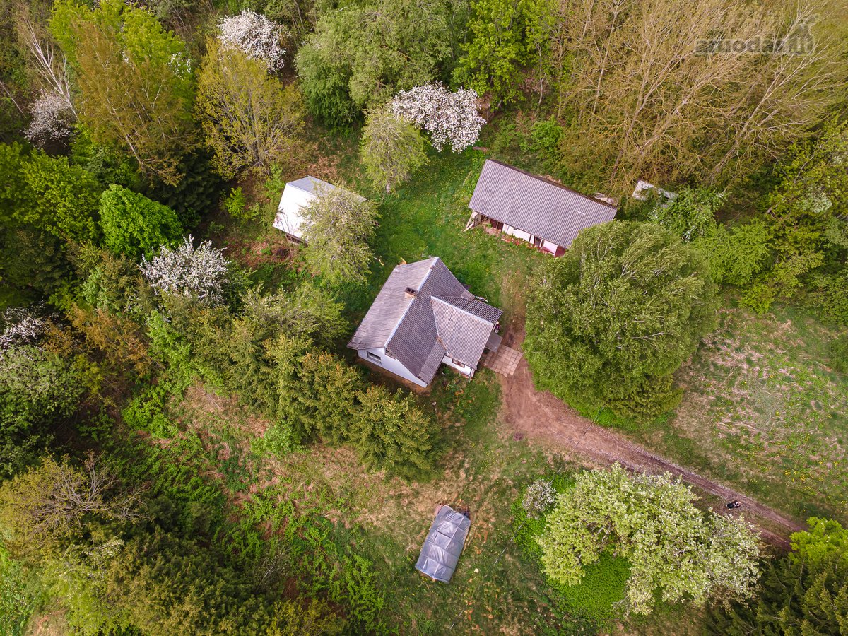 Parduodamas 87,59 arų namų valdos sklypas su - nuotraukos Nr. 4