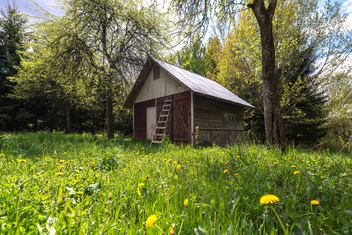 Parduodamas 87,59 arų namų valdos sklypas su - nuotraukos Nr. 10