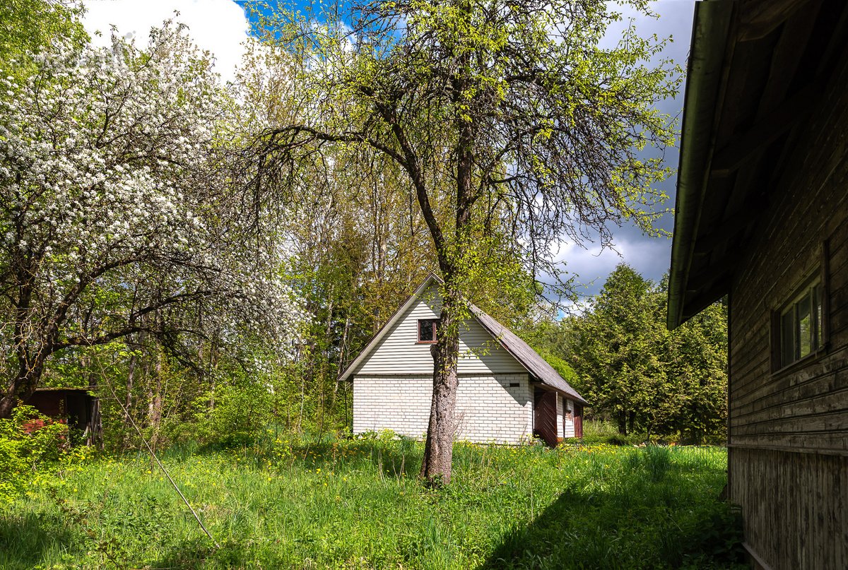 Parduodamas 87,59 arų namų valdos sklypas su - nuotraukos Nr. 13
