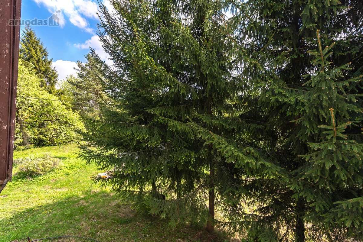 Parduodamas 87,59 arų namų valdos sklypas su - nuotraukos Nr. 25