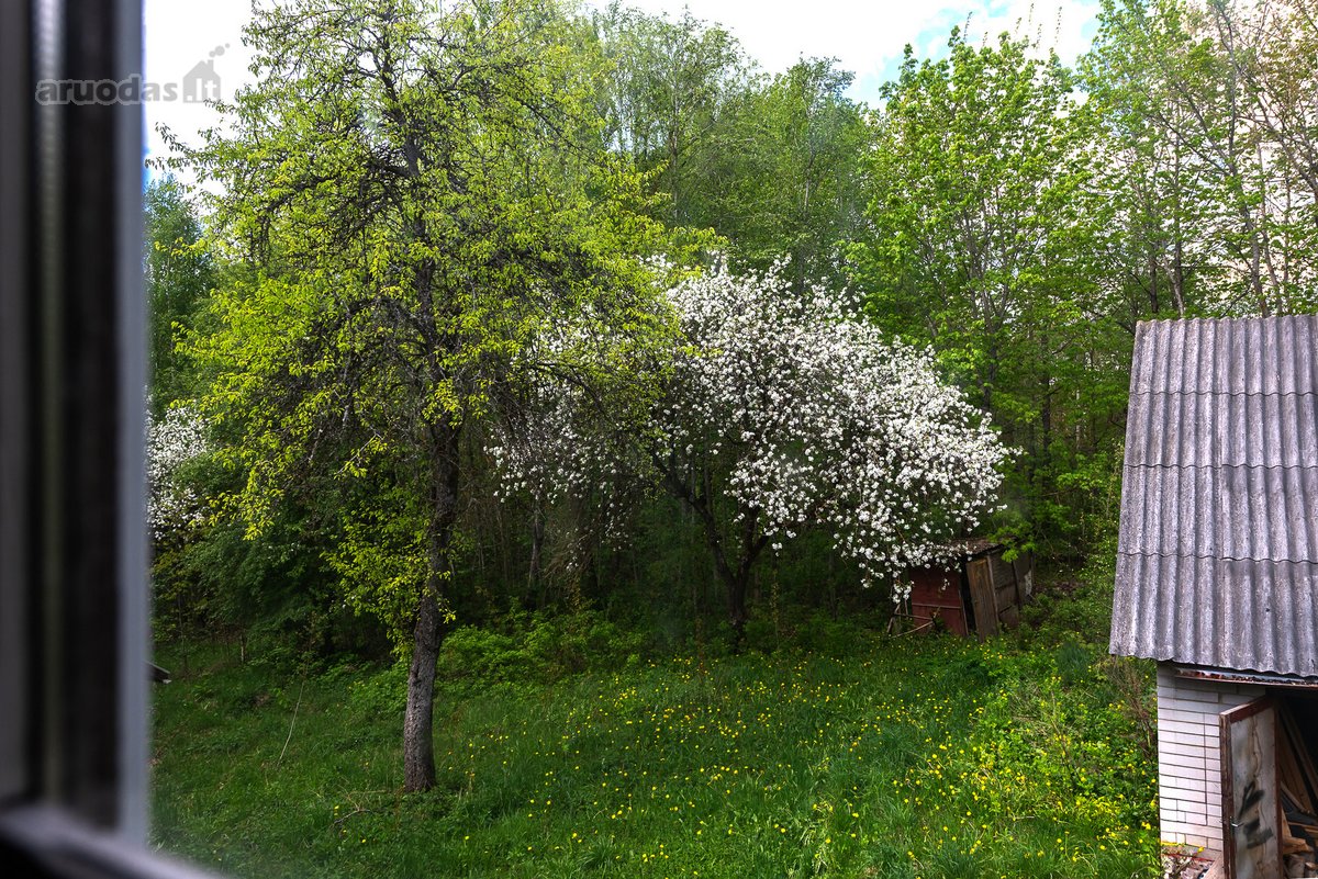 Parduodamas 87,59 arų namų valdos sklypas su - nuotraukos Nr. 26