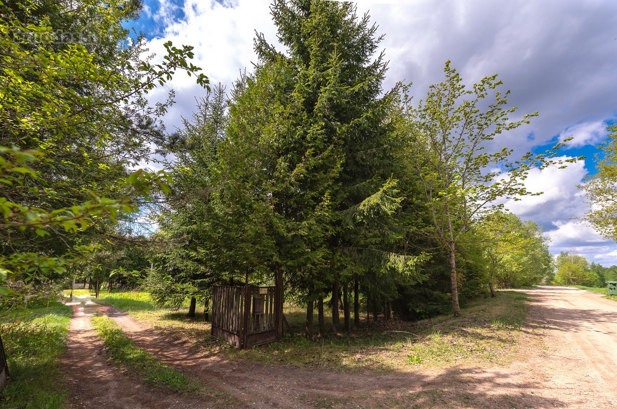 Parduodamas 87,59 arų namų valdos sklypas su - nuotraukos Nr. 33
