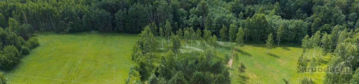 Parduodami 6 išskirtiniai namų valdos sklypai - nuotraukos Nr. 12