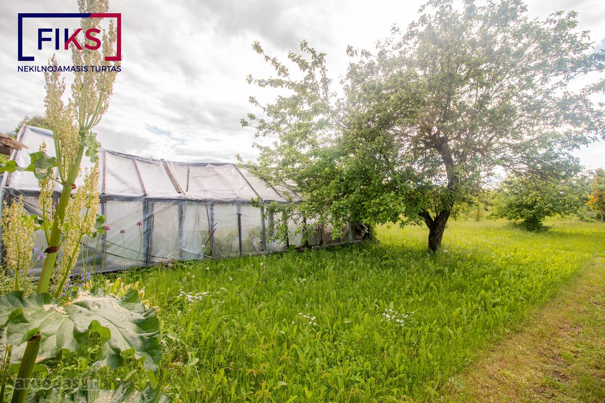 Sodo Sklypas Biržuose - nuotraukos Nr. 16