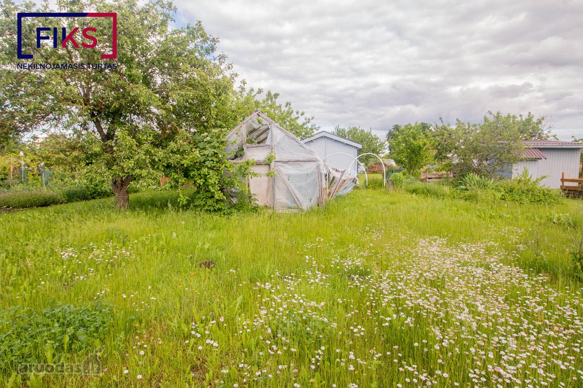 Sodo Sklypas Biržuose - nuotraukos Nr. 17