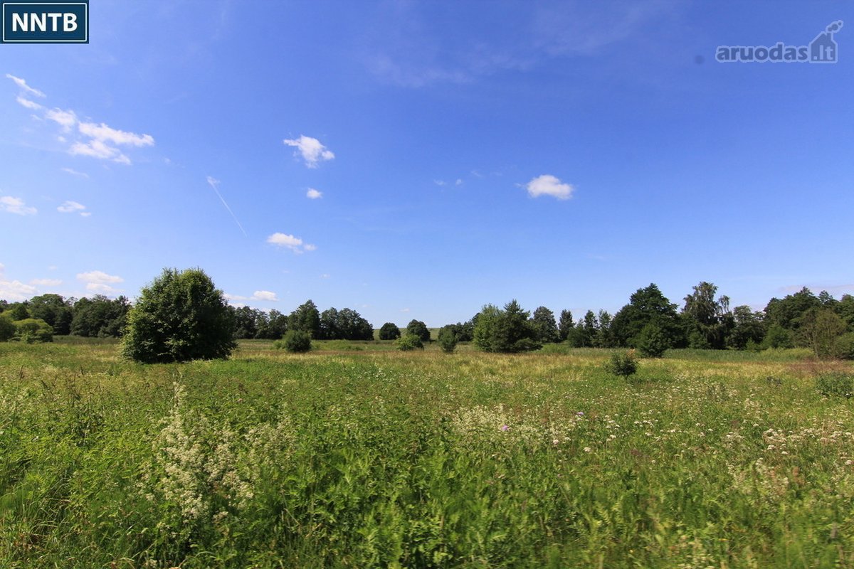 Parduodami sklypai su Kadrėnų (Mūšos) - nuotraukos Nr. 16