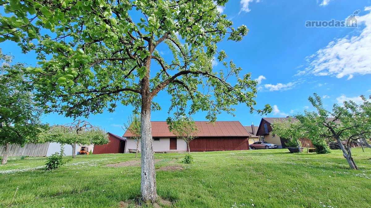 Parduodama Jauki Ir Prižiūrėta Sodyba Endriejave - nuotraukos Nr. 10
