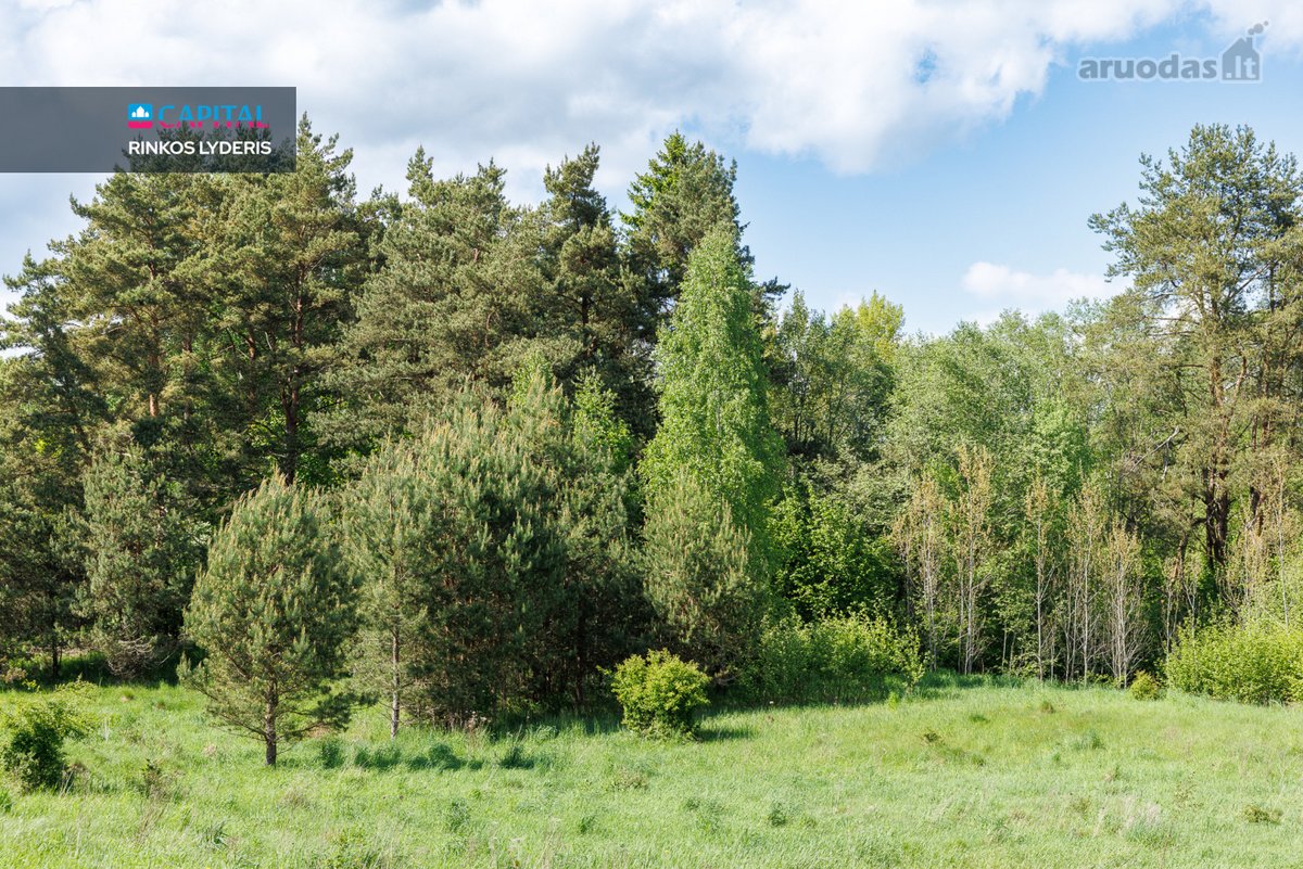 Parduodamas 39,2 arų sklypas Trakų raj., - nuotraukos Nr. 10