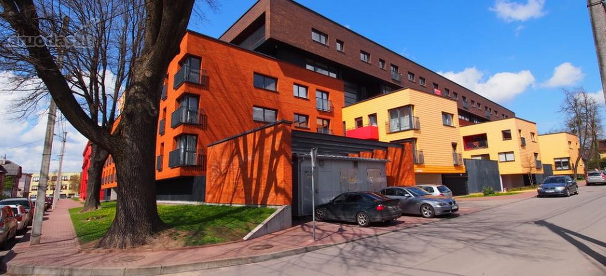 Prestižinėje Žaliakalnio Vietoje, Dzūkų G. 