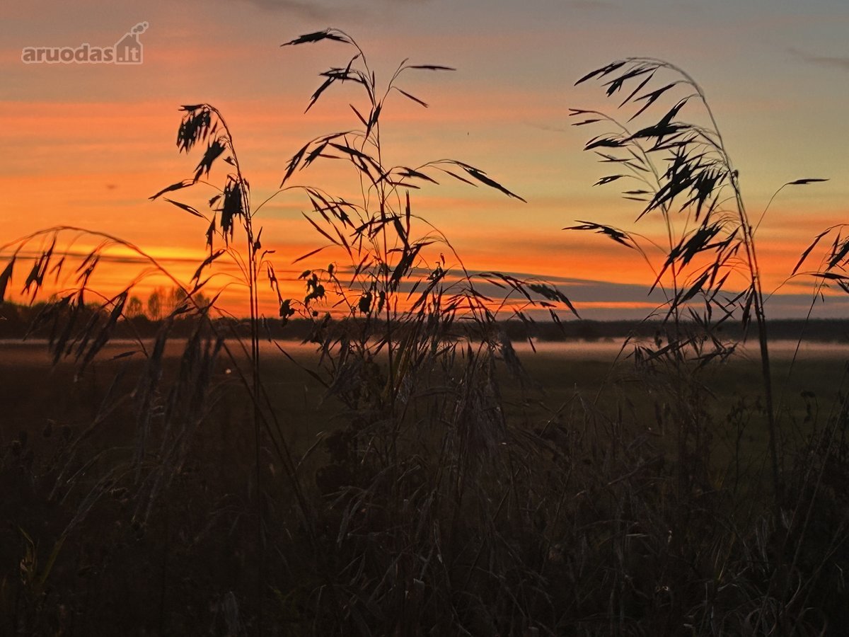 Madžiūnų km. Paluknio sen., Trakų raj.