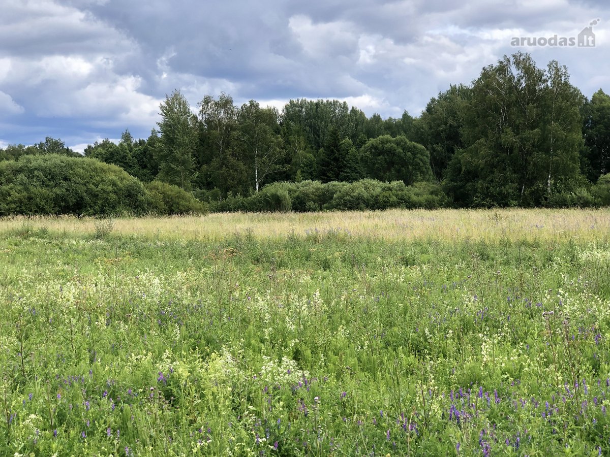 Madžiūnų km. Paluknio sen., Trakų raj. - nuotraukos Nr. 4