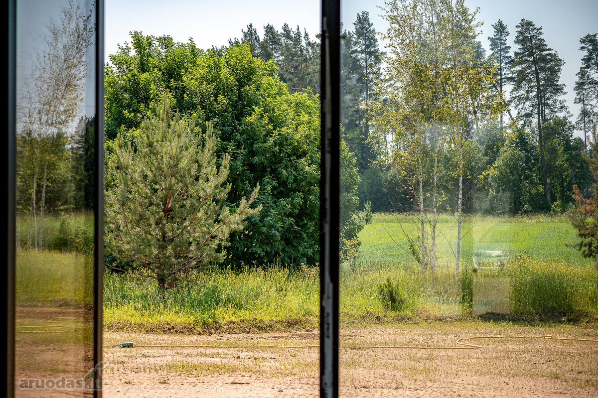 Pilialaukio šilas – tai miško kaimynystėje - nuotraukos Nr. 28