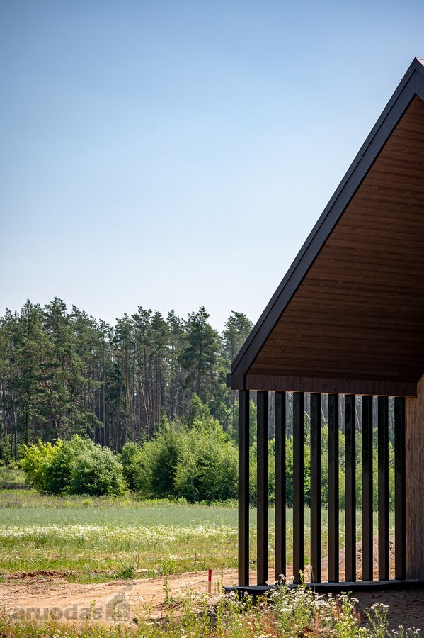 Pilialaukio šilas – tai miško kaimynystėje - nuotraukos Nr. 13