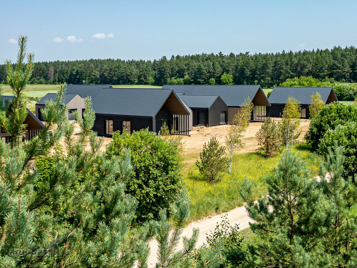 Pilialaukio šilas – tai miško kaimynystėje - nuotraukos Nr. 21