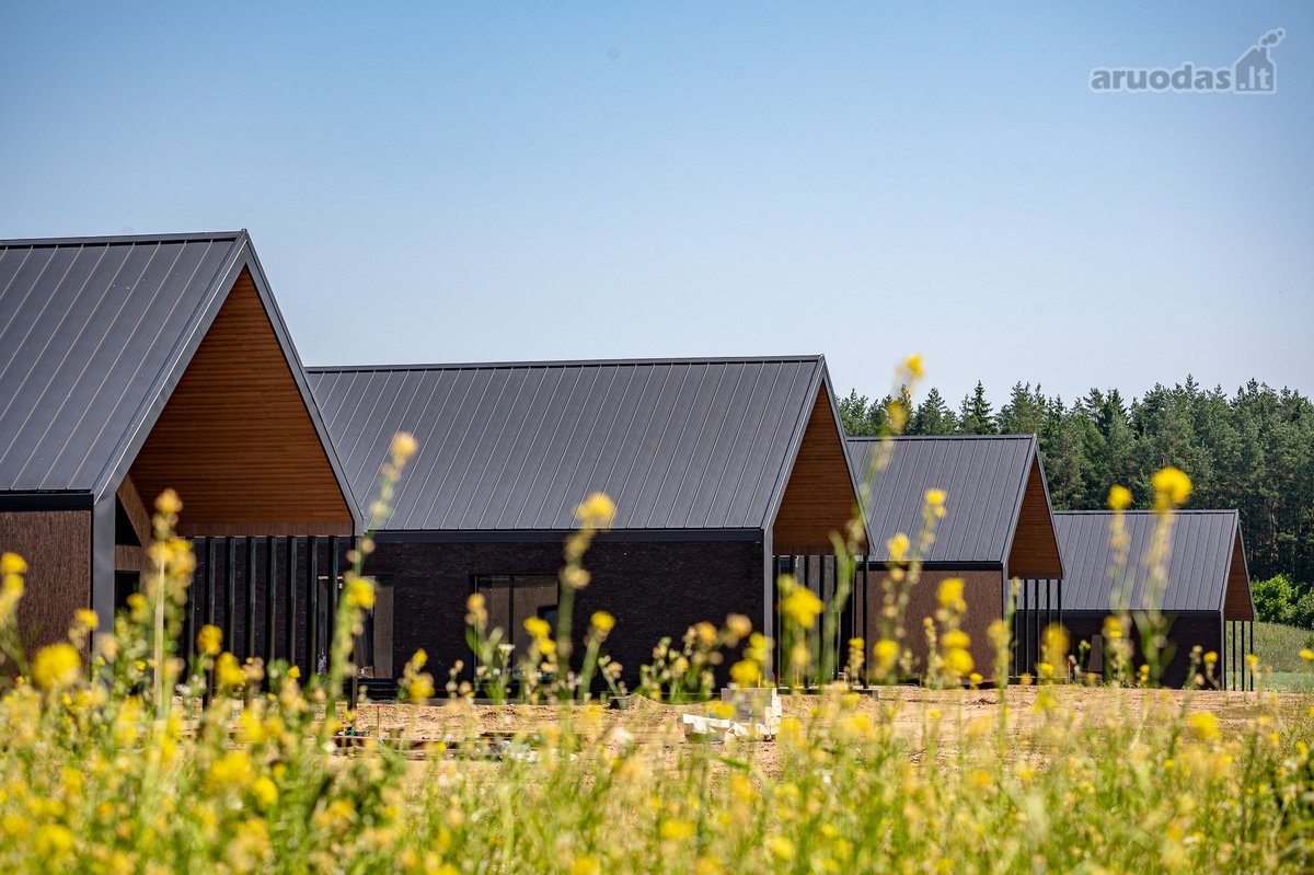 Pilialaukio šilas – tai miško kaimynystėje - nuotraukos Nr. 18