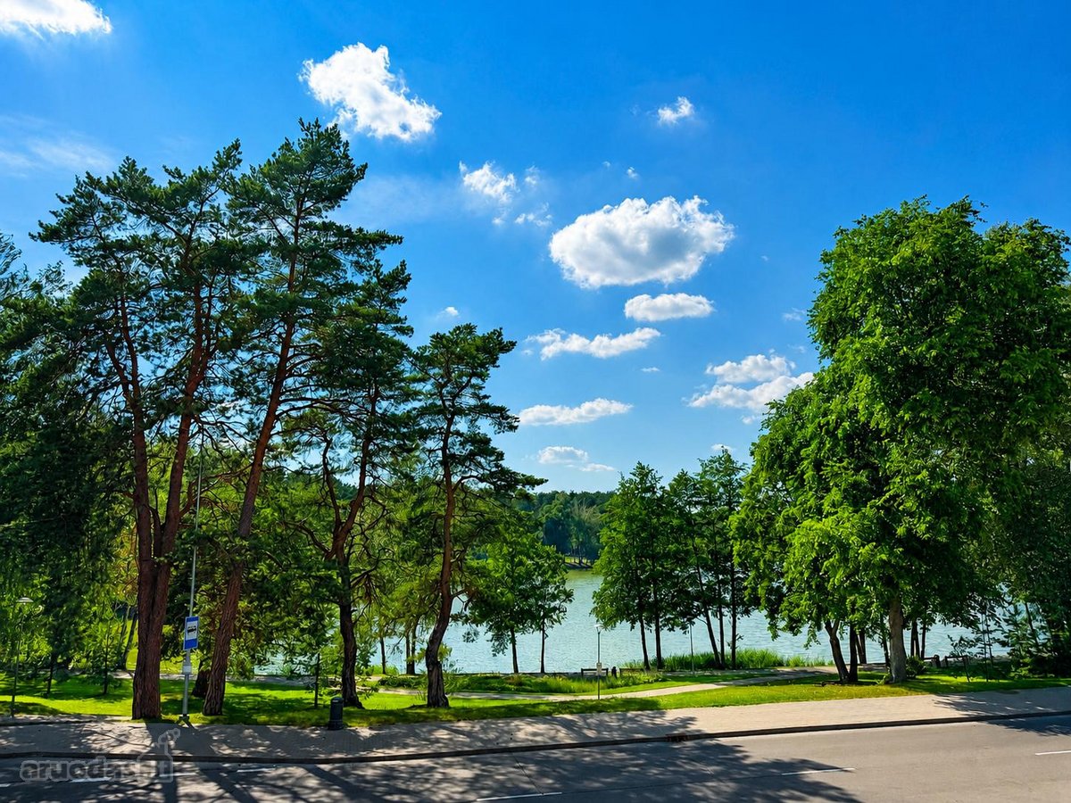 Pačioje Druskininkų širdyje, 16 arų sklype, - nuotraukos Nr. 6