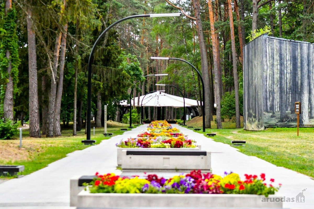 Pačioje Druskininkų širdyje, 16 arų sklype, - nuotraukos Nr. 11