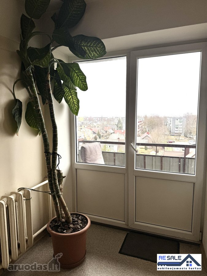 Parduodamas bendrabučio tipo butas pačiame - nuotraukos Nr. 14