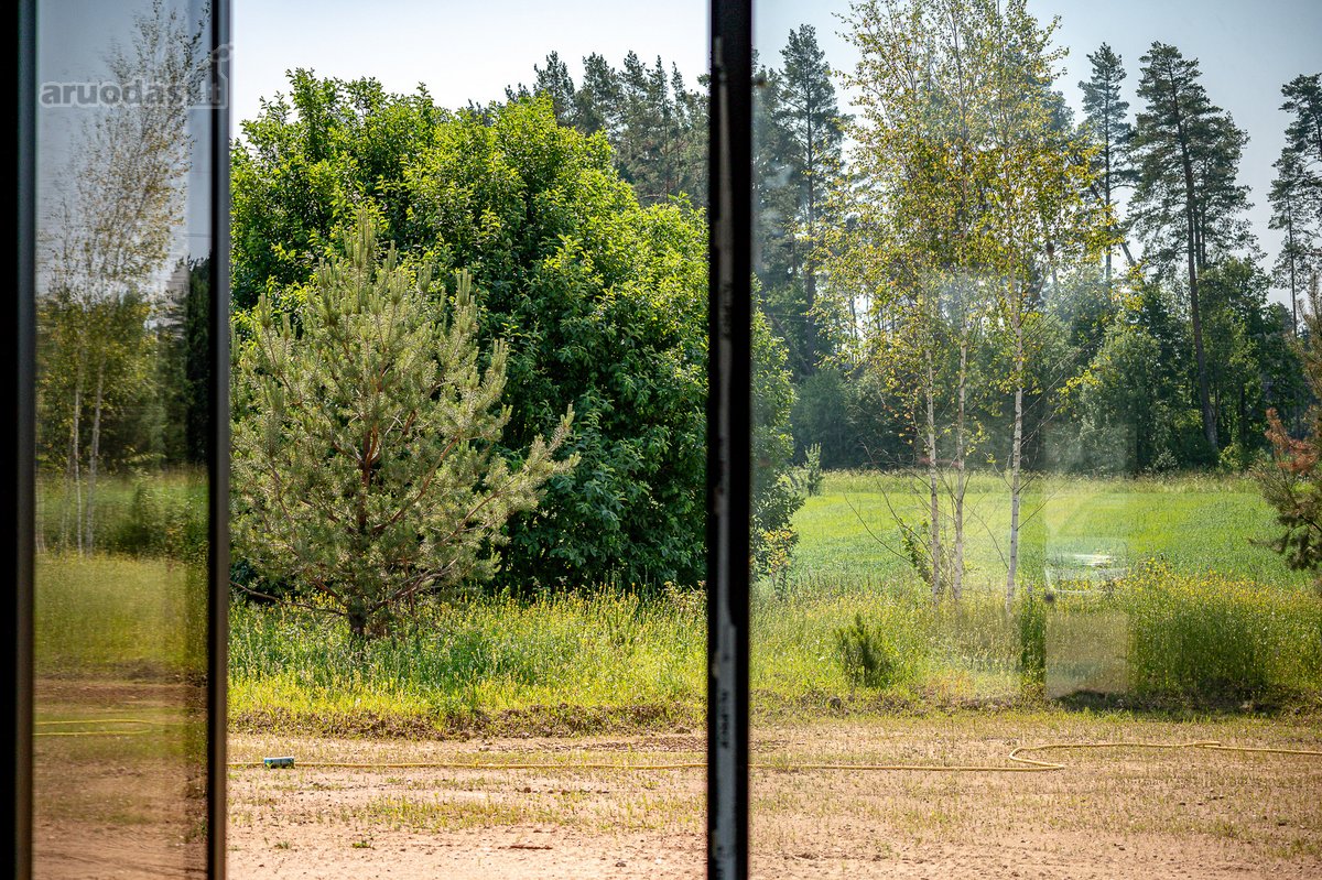 Pilialaukio šilas – tai miško kaimynystėje - nuotraukos Nr. 29