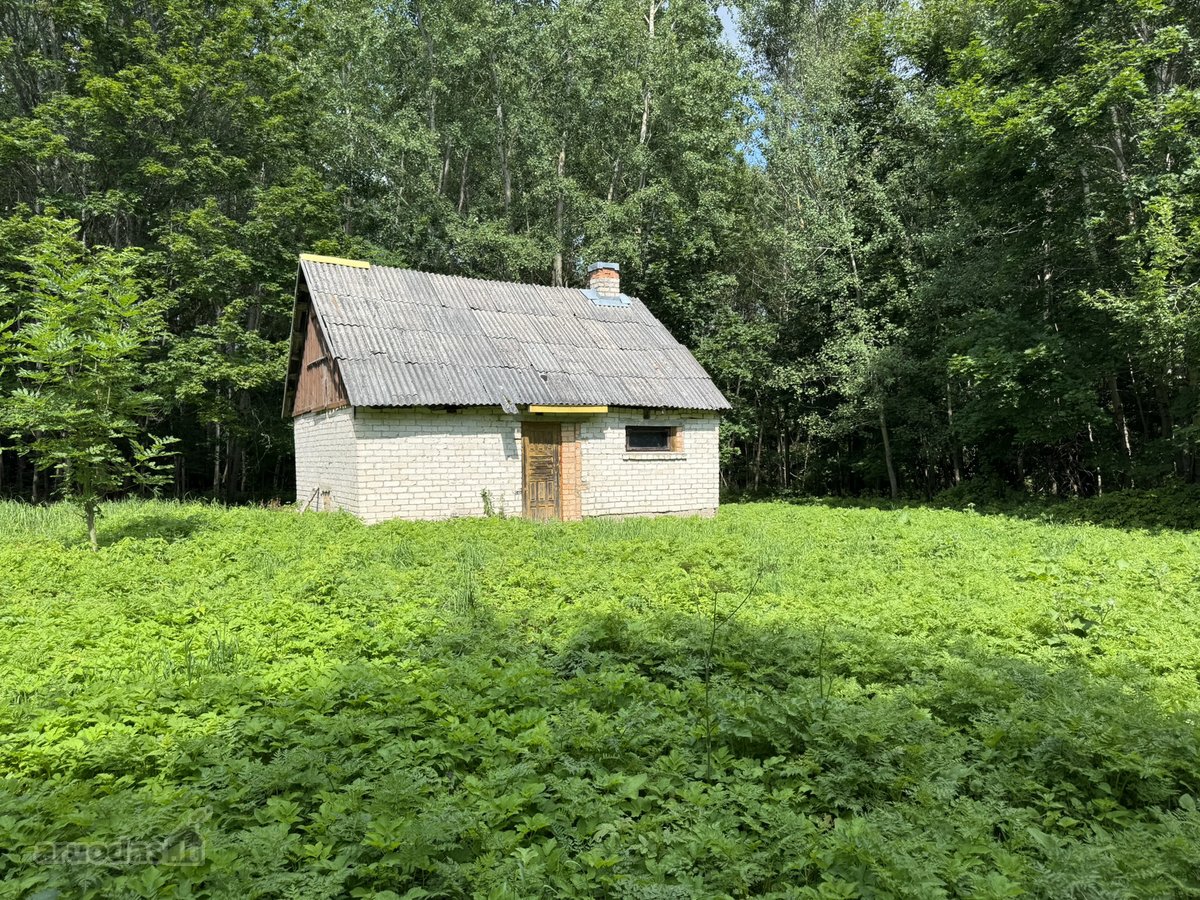 Parduodamas Namų Valdos Sklypas Su Ūkiniu - nuotraukos Nr. 5