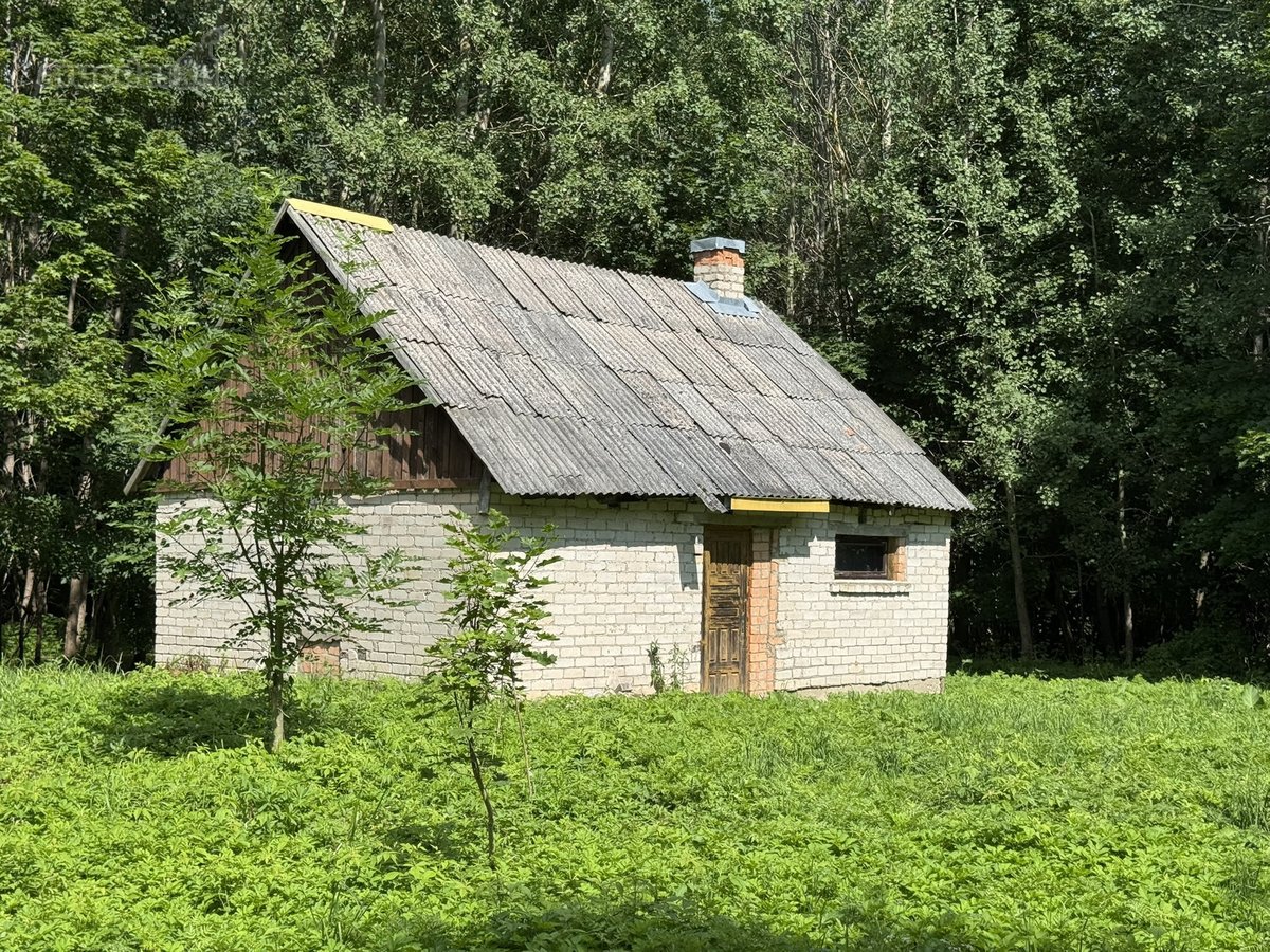 Parduodamas Namų Valdos Sklypas Su Ūkiniu - nuotraukos Nr. 6