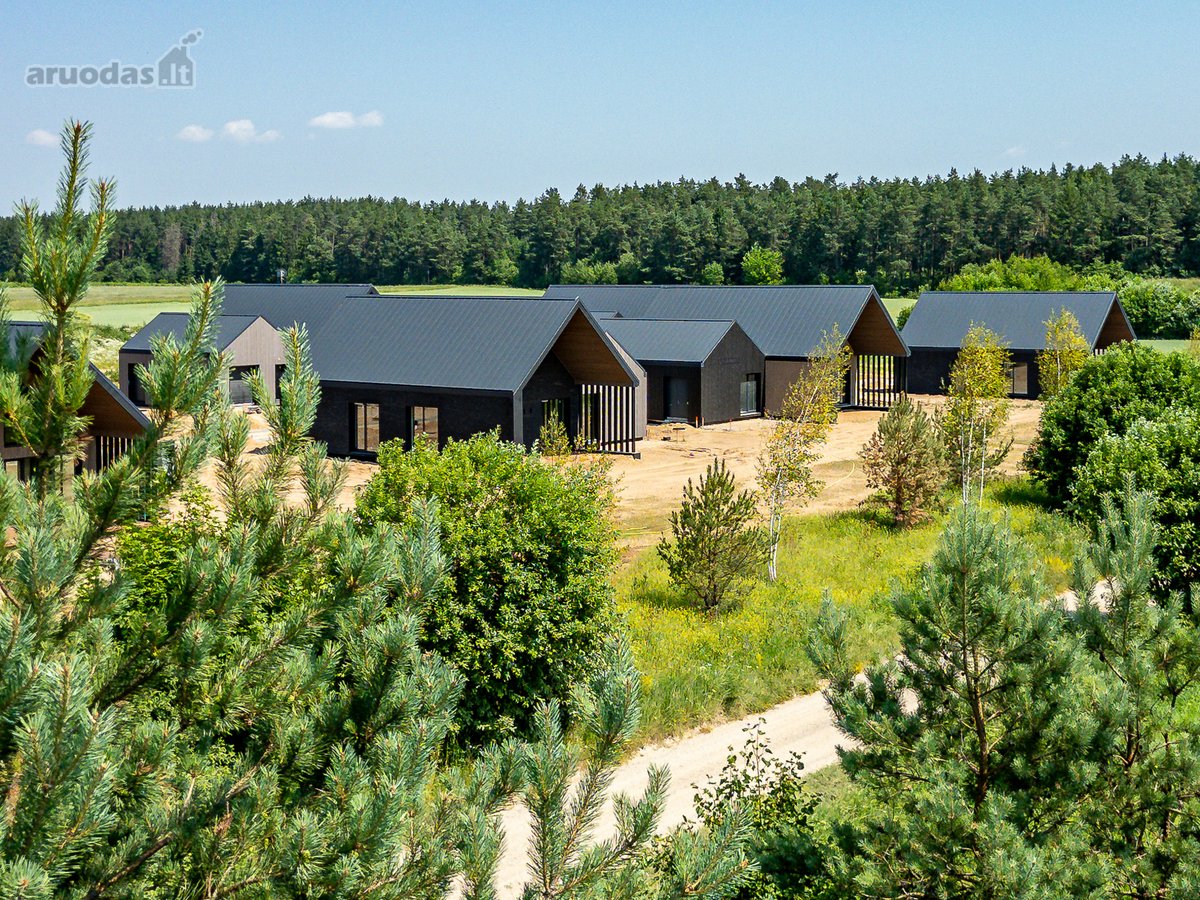 Pilialaukio šilas – tai miško kaimynystėje - nuotraukos Nr. 7