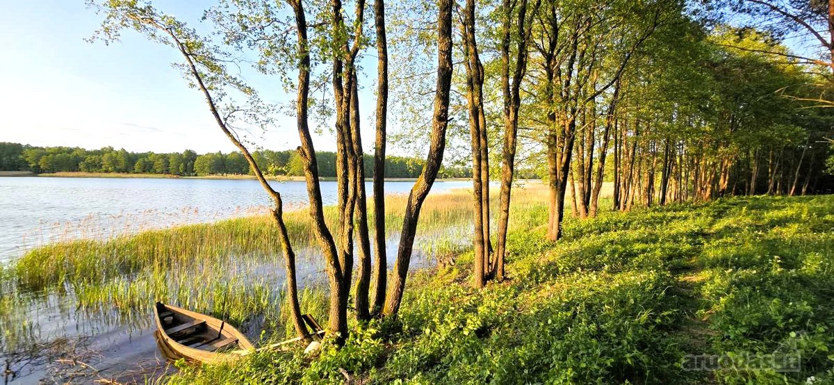 Du sklypai pušyne: 67 arų ir 65 arų, keli - nuotraukos Nr. 2