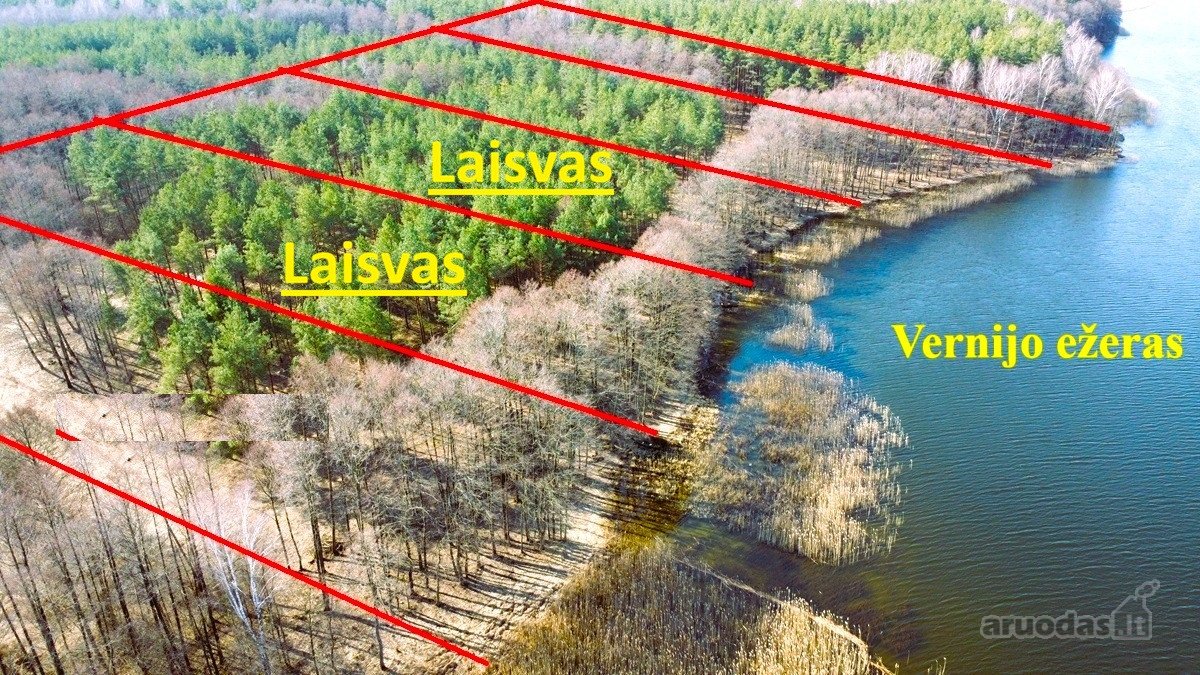 Du sklypai pušyne: 67 arų ir 65 arų, keli - nuotraukos Nr. 8