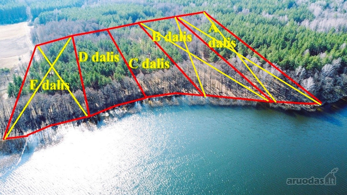 Du sklypai pušyne: 67 arų ir 65 arų, keli - nuotraukos Nr. 9