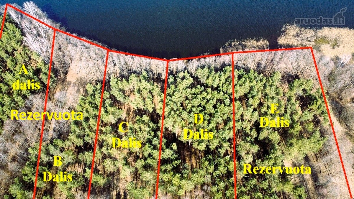 Du sklypai pušyne: 67 arų ir 65 arų, keli - nuotraukos Nr. 10