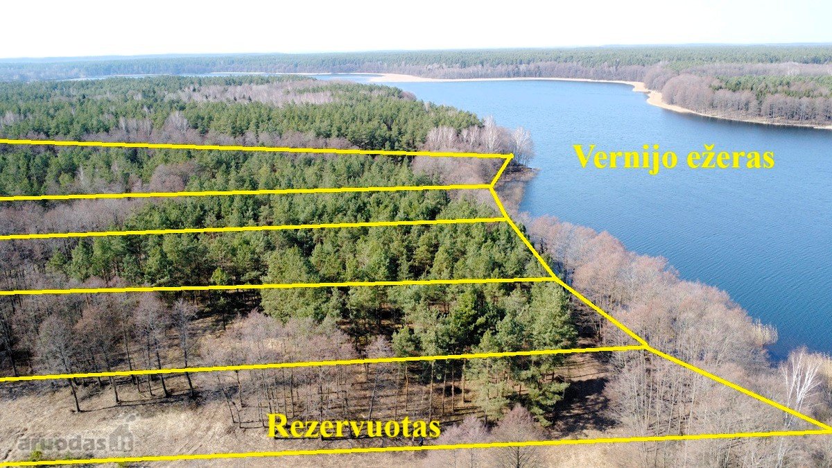 Du sklypai pušyne: 67 arų ir 65 arų, keli - nuotraukos Nr. 11