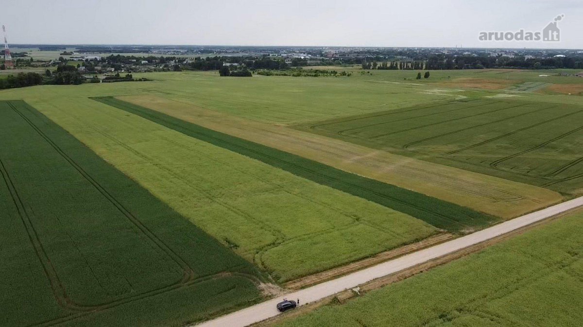 Parduodamas 1,0013 Ha Žemės Ūkio Paskirties - nuotraukos Nr. 2