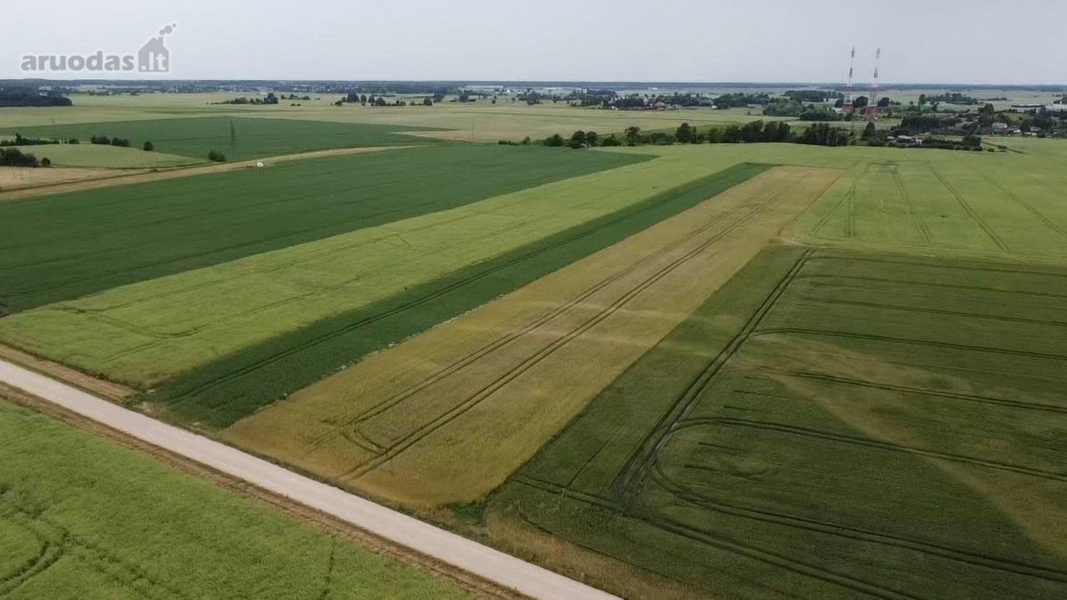 Parduodamas 1,0013 Ha Žemės Ūkio Paskirties - nuotraukos Nr. 3