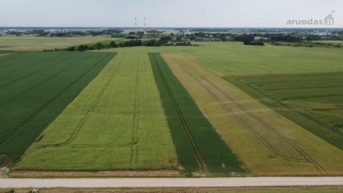 Parduodamas 1,0013 Ha Žemės Ūkio Paskirties - nuotraukos Nr. 4