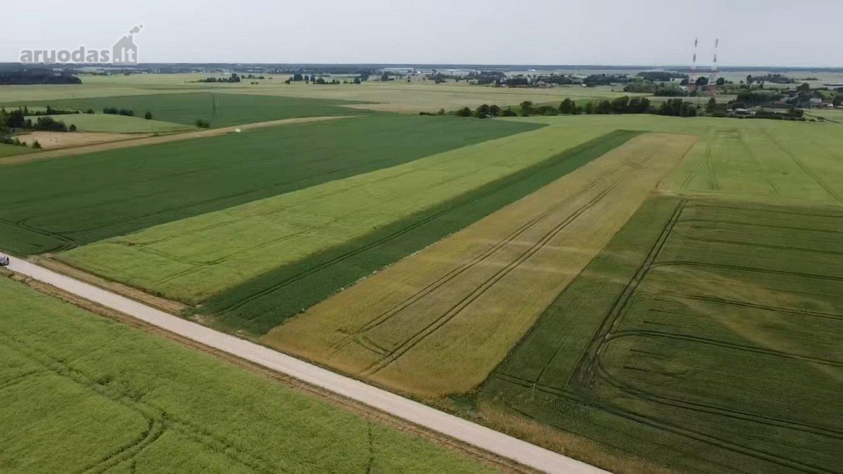Parduodamas 1,0013 Ha Žemės Ūkio Paskirties - nuotraukos Nr. 6