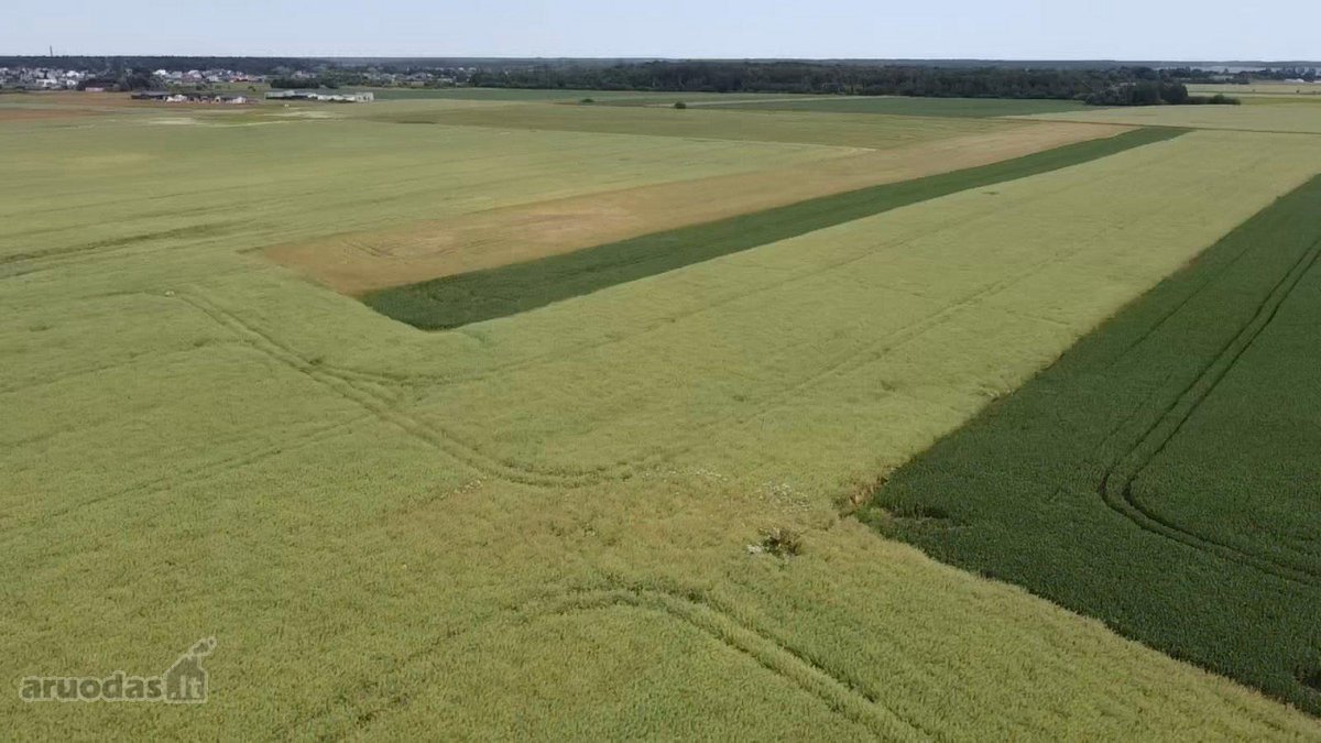 Parduodamas 1,0013 Ha Žemės Ūkio Paskirties - nuotraukos Nr. 7