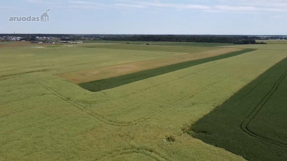 Parduodamas 1,0013 Ha Žemės Ūkio Paskirties - nuotraukos Nr. 8