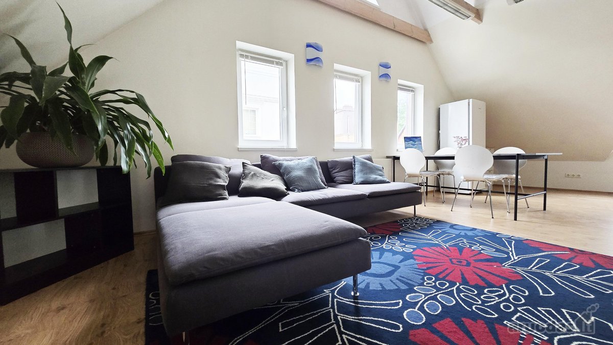 Išskirtinis 67 m² Studijos Tipo Butas Žvėryne