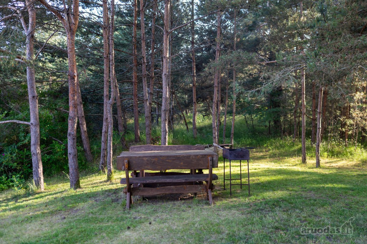 Išskirtinis Kotedžas Investicijai Nidos - nuotraukos Nr. 36
