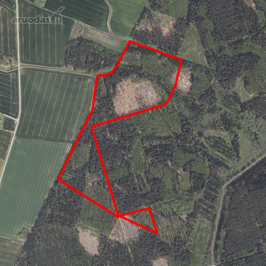 Parduodami du miškai 21,73 ha Šilų kaime