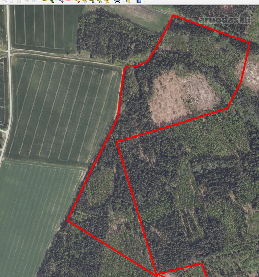 Parduodami du miškai 21,73 ha Šilų kaime - nuotraukos Nr. 2